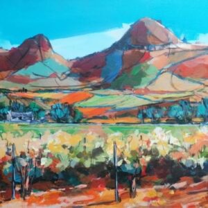 Stellenbosch Landscape 01